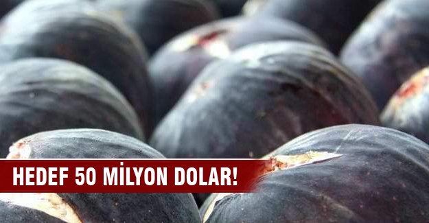 Bursa'nın incir hedefi 50 milyon dolar