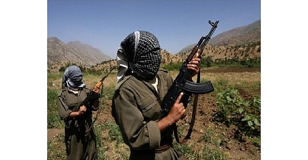 Mardin'de teröristler 2 aracı ateşe verdi