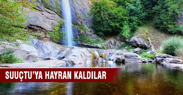 Arap Ülkeleri Konseyi Suuçtu'ya hayran kaldı
