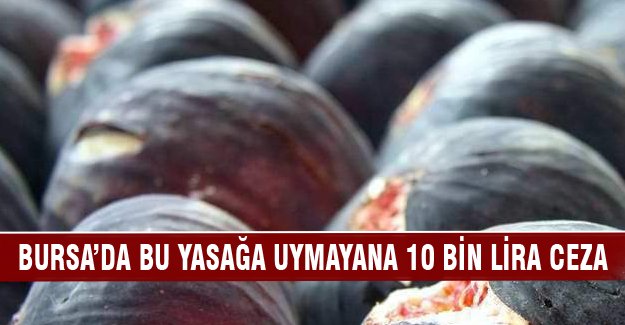 Bursa'da bu yasağa uymayana 10 bin lira ceza!
