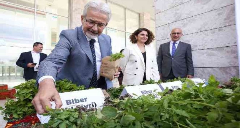 Bursa'da 400 bin fide toprakla buluşacak