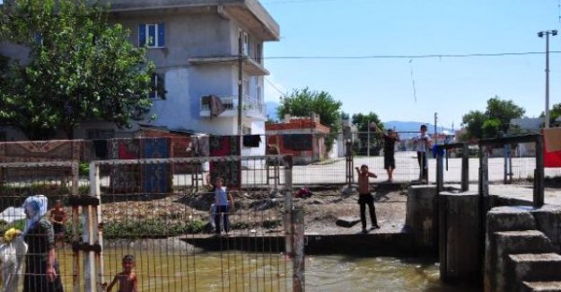 Tehlikeye aldırmıyorlar!