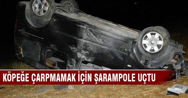 Köpeğe çarpmamak için şarampole uçtu!