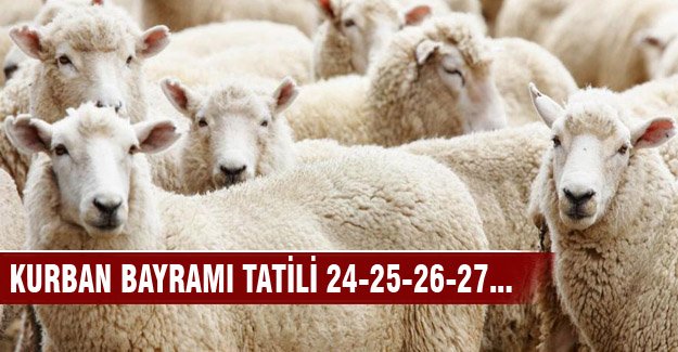 Google'da Ağustos ayında en çok ne aradık