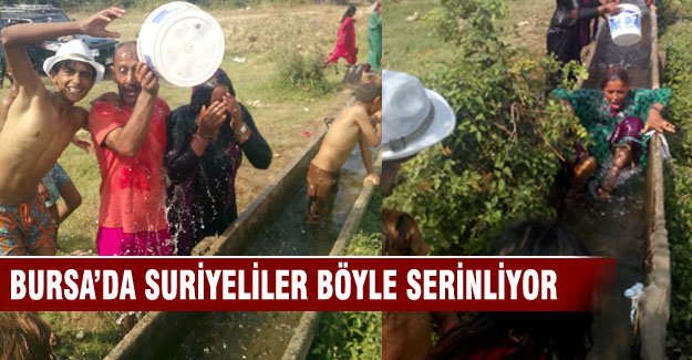 Bursa'da Suriyeliler böyle serinliyor