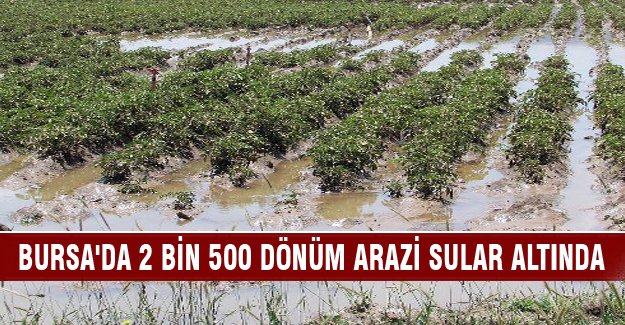 Bursa'da 2 bin 500 dönüm arazi sular altında