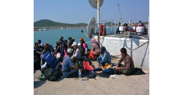 Ayvalık’ta 71 kaçak yakalandı
