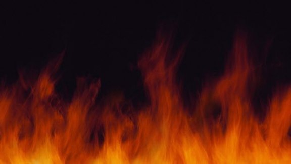 Köyceğiz'de orman yangını