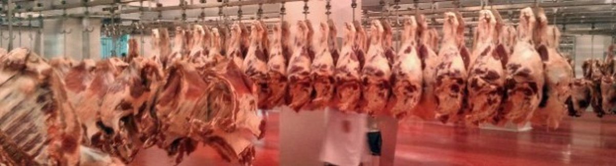 Bursa Ticaret Borsası et piyasasında son durum