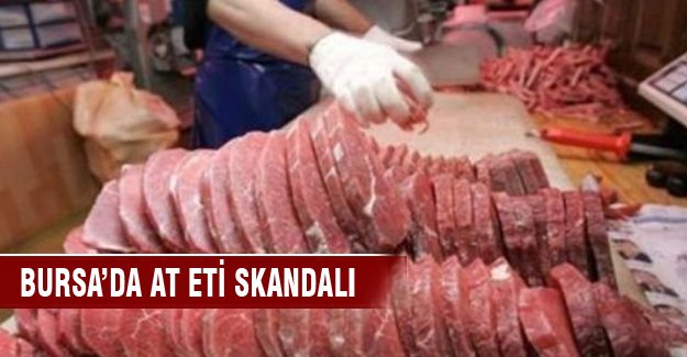 Bursa'da kesik at başları bulundu!