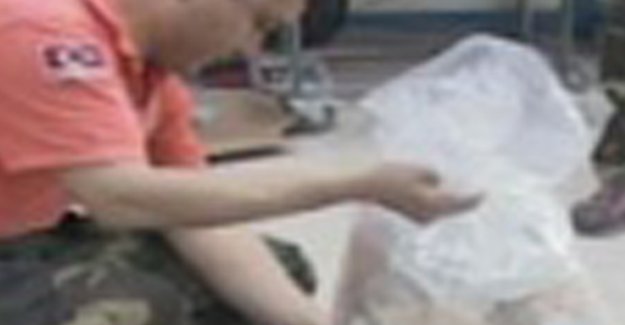 O ilde şarbon paniği!