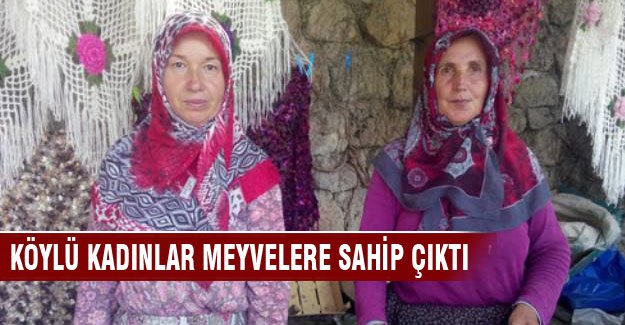 Bursalı kadınlar meyvelerin bekçiliğini yapıyorlar