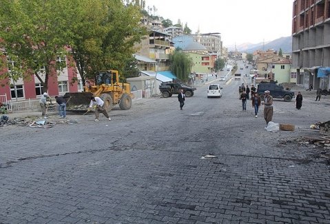 Yüksekova'da özerklik operasyonu: 8 gözaltı