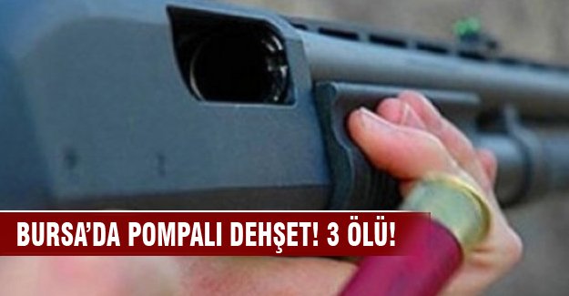 Bursa'da öfkeli çiftçi dehşet saçtı!