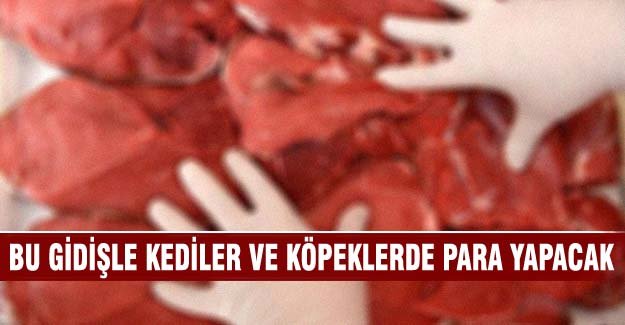 Et fiyatlarının yükselmesiyle kediler ve köpekler de para yapacak!