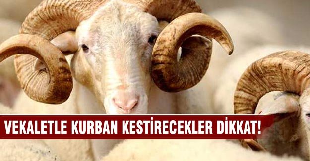 Kurban fiyatları açıklandı