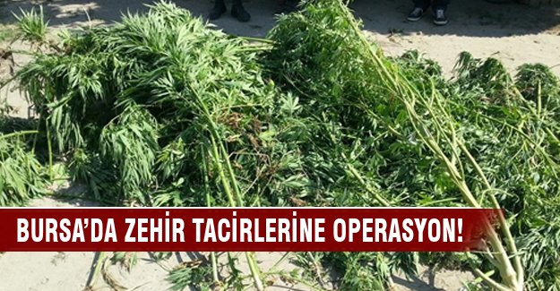 Mustafakemalpaşa'da uyuşturucu operasyonu