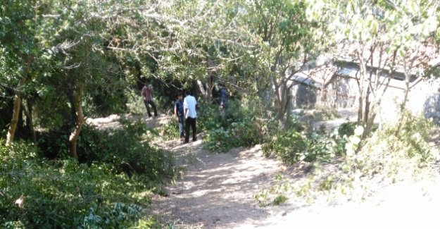 Fetihpaşa Korusu'nda yürüyüş yolu için ağaçlar kesildi