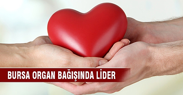 Organ bağışında lider yine Bursa oldu