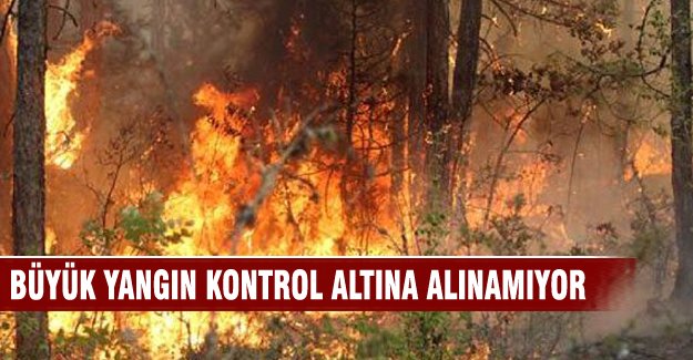 Karabük'te büyük orman yangını