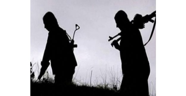 Çukurca’da 2 PKK’lı teslim oldu