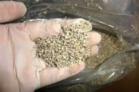 Bursa'da darp ihbarına giden polis evde uyuşturucu buldu