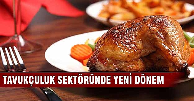 Tavukçuluk sektöründe yeni dönem