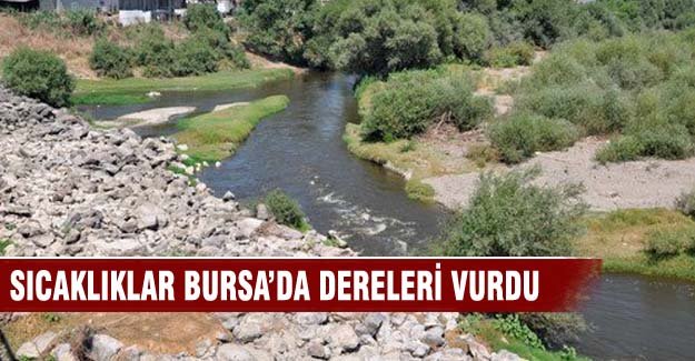 Sıcaklıklar Bursa'da dereleri vurdu