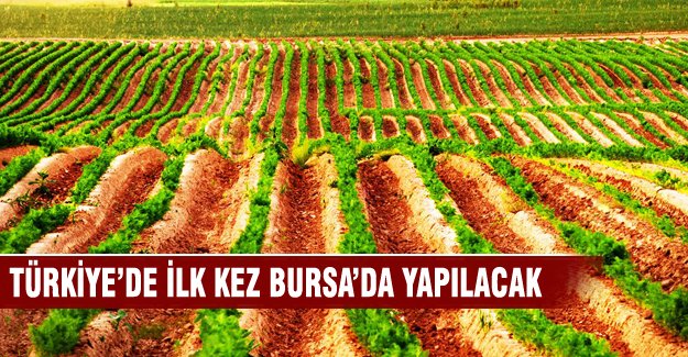 Türkiye'de ilk kez arazi uydudan sulanacak