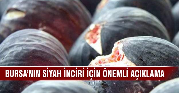 İncir’deki rekolte kaybının sebebi belli oldu