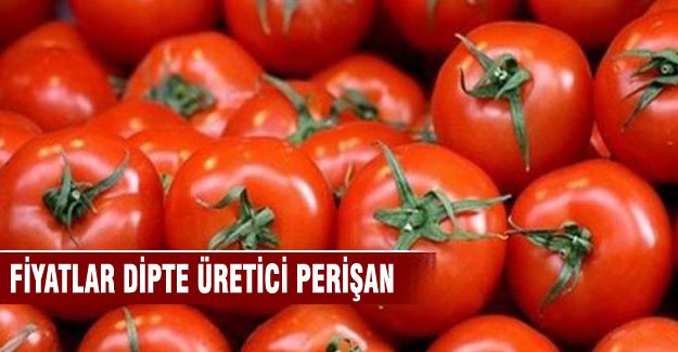 Fiyatlar dipte üretici perişan