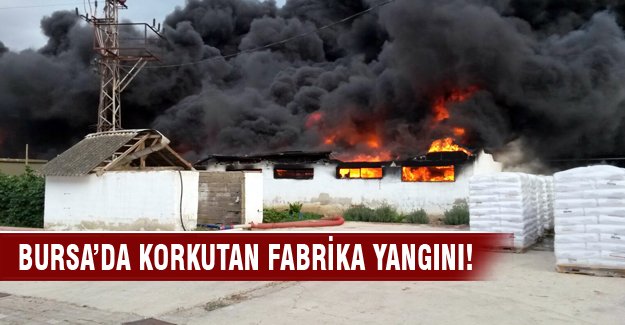 Bursa'da ambalaj fabrikasında korkutan yangın