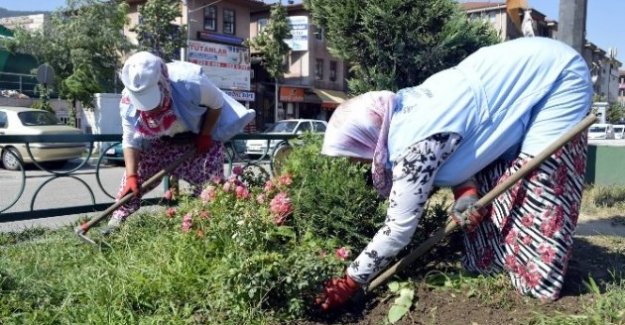 Bursa'da kenelere karşı önlem