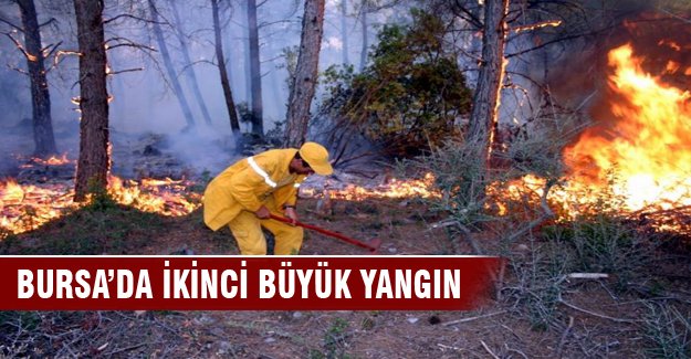 Bursa'da ikinci yangın!