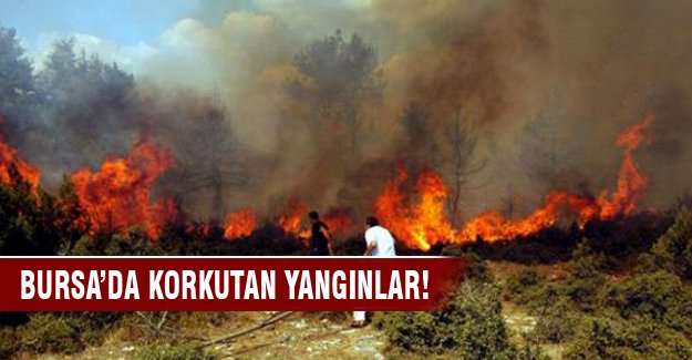 Bursa'da korkutan orman yangınları