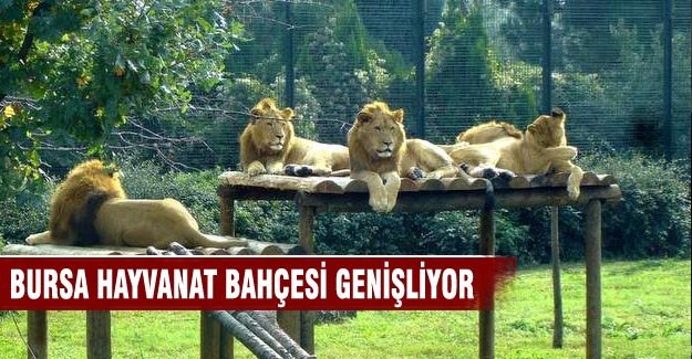 Bursa Hayvanat Bahçesi genişliyor!