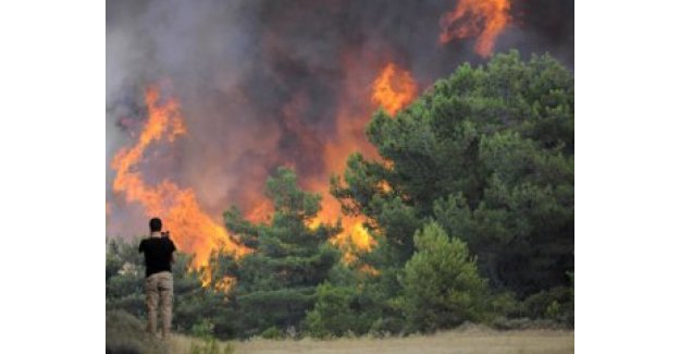 Manavgat’ta orman yangını