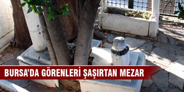 Bursa'da Yavuz Sultan Selim'in nediminin mezarı ilgi bekliyor