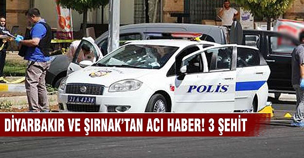 Diyarbakır ve Şırnak'ta polise saldırı: 3 şehit