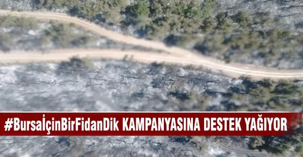 #BursaİçinBirFidanDik kampanyasına ise destek yağıyor