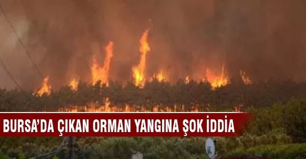 Bursa'da çıkan orman yangınına sabotaj iddiası