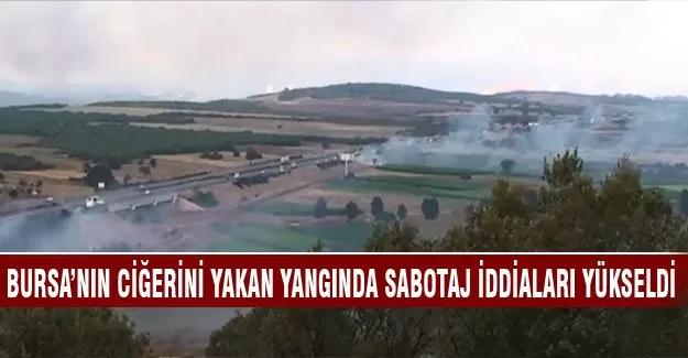 Bursa'nın ciğerini yakan yangında sabotaj iddiası netleşiyor