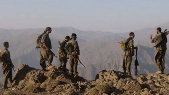 8 PKK'lı teslim oldu...