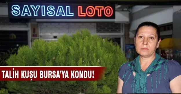 Talih kuşu Bursa'ya kondu!