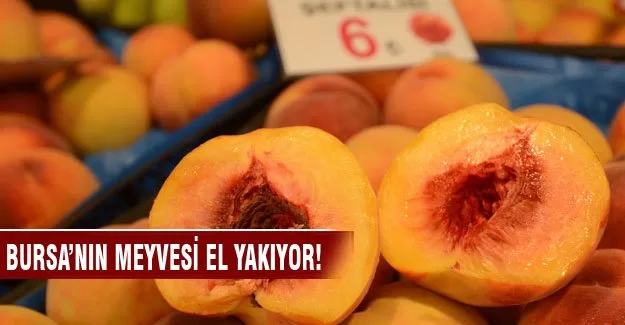 Bursa'nın meyvesi el yakıyor!