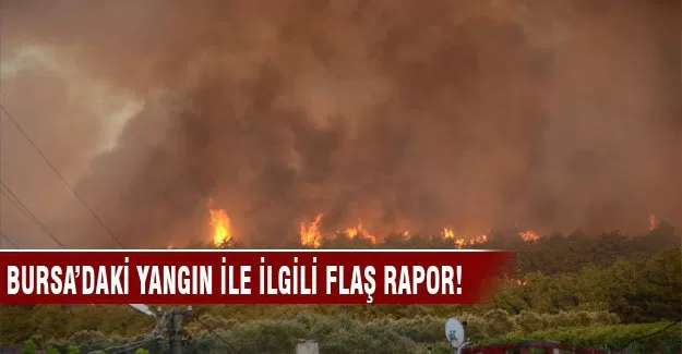 Bursa'daki yangınla ilgili flaş rapor