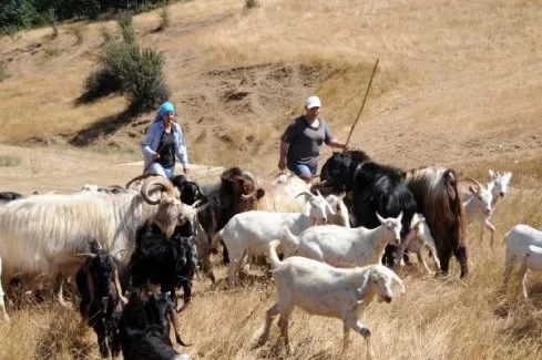 İşte kadının gücü...