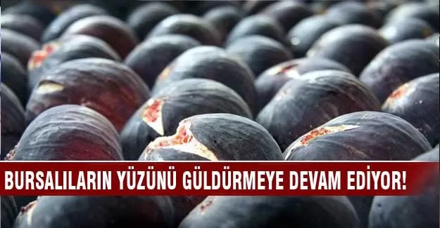 Kraliyet meyvesi yüz güldürmeye devam ediyor