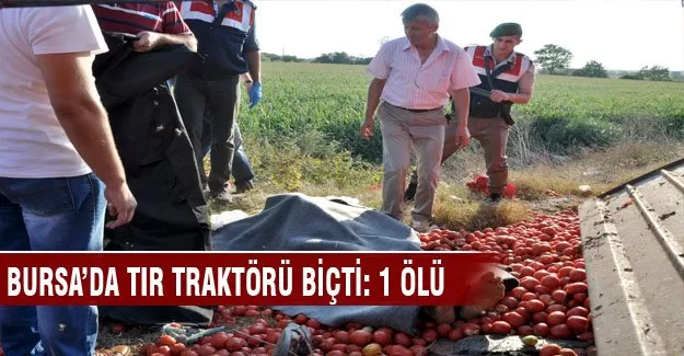 Bursa'da Tır traktörü biçti