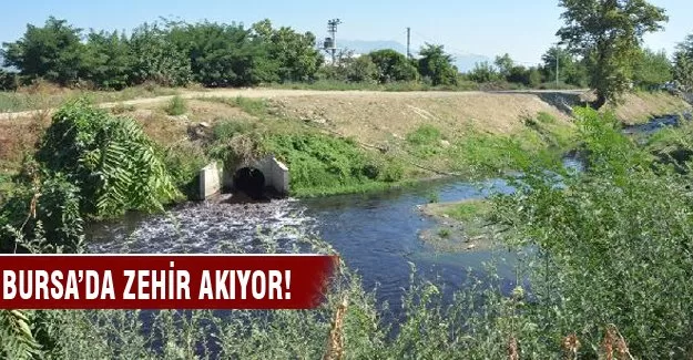 Bursa'da zehir akıyor!